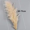 Kwiaty dekoracyjne 80 cm naturalny trzcinowy suszony kwiat biały brwi Big Pampas Grass Bukiet Ceremonia Ślubna dekoracja nowoczesna dom