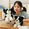 Dolls de pelúcia Simação border collie cão cão fofinho de alta qualidade cão de alta qualidade para decoração de luxo Decoração de casa amante de animais de aniversário presente j220729 Dro dhetd