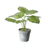 Flores decorativas Plantas artificiais 16 Planta verde falsa Plástico Bonsai em vasos de paisagem decoração interna para quarto de café quarto