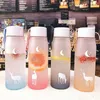 water bottle 560ml Sports Water Bottle Plastic Portable Drinking Cup Frosted Leakproof Drop-proof Shaker Mug Travel Water Bottle for Outdoor P230324