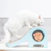 Oyuncaklar yeni evcil kedi çizme tahtası oluklu kağıt kedi kedisi fil şekil çizik dirençli kedi oyuncak malzemeleri yavru kız oyuncak çizik