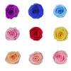 Decoratieve bloemen 8 stks/doos Grade A eeuwige rozen koppen echt natuurlijk vers bewaard gebleven voor altijd roze Eternelle onsterfelijk diy bloemenmateriaal