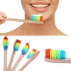 Kleurrijke kop bamboe tandenborstelomgeving houten regenboog bamboe tandenborstel orale verzorging zachte borstelige hoofdtandenborstel nieuw
