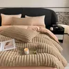 Beddengoed sets van hoge kwaliteit winterdikker koraal fleece set kunstmatig fluweel 200x230cm dekbedovertrek voor 1,8 m bed