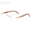 Tatil Gözlükleri Lüks Tasarımcı Güneş Gözlüğü Kadın Zarif Polarize Gözlükler Ünlü Vintage Kamp Açık Gölgeler Tasarımcı Gözlükleri PJ007 Q2