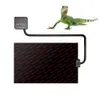 Products 28W/50W Terrarium Reptiles Heat Mat Climbing Pet Heating Pad Adjustable Incubator For Reptile Temperature Control Warmer Pads