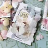 Stamping Lovely Flower Roll12 Washi Tape Nastro adesivo Nastro adesivo Adesivo Washi per scrapbooking fai da te