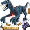 Electricrc Животные RC Dinosaur 2.4G Raptor Demote Control Toy Toy Toy Electric Hoalk Mimulation Toys для мальчиков детей обратно в школьные осенние подарки 230504