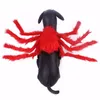 Kleding Halloween kerstkist rug rugkat kattenkist terug creatief voor katten kleine hond spider transformatie cosplay kostuum