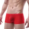 Caleçon Sexy hommes Boxer Shorts maille voir à travers Sissy Gay culotte clairon poche filets de pêche sous-vêtements Calzoncillos Boxershorts 2XL