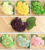 Декоративные цветы Hi-q Real Touch / Weeld Artificial Hydrange Fruit Fruit Wedding Plasic Оптовая оптом 10шт Hortensia