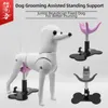 Supplies Magic ladder MOTI dog auxiliary standing bracket adjustable pet grooming articles small bench beautician fixed dog seat