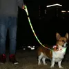 Setzt leuchtende Hundeleinen-Lichter für nächtliche Spaziergänge, USB wiederaufladbare, wasserdichte LED-Hundeleine, beleuchtete Leinen für die Sicherheit von Haustieren in der Nacht