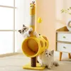 Scratchers Cute Tree Tower Sisal Cat Scratcher Board Kitten Climbing Ramka Platforma Przescing Platforma Protect