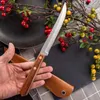 Camping Hunting Knives Sashimi Kitchen Chef Knives Fruit Salmon Sushi Knives Stainless Steel Raw Fish Fillet Cooking Knife P230506