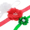 Hårklipp fina barn flicka grön röd julklänning hårband strass huvudbonad blomma pedband bandanas 3set för barn