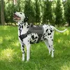 Leases Tactical Dog Harness Militärtjänst Justerbar hund Harness No Pull Multifunction Training pooch väst för medelstora till stora husdjur