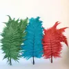 Fleurs décoratives 10 PCS Plante Naturelle Séchée Fraîche Conservée Éternelle Pour Toujours Feuille De Fougère Décoration De La Maison Accessoires De Fête De Mariage