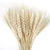 Decorative Flowers 50PCS Wheat Natural Dried Centerpieces For Weddings Party Supplies Easter Decorati Wedding Gift Guest Outdoor