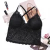 Women's Tanks Women Tube Top Beauty Padded Back Bra Lace Underwear Woman Sexy Lingerie Intimate Clothes Young Girls Bralette