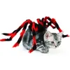Kleding Halloween kerstkist rug rugkat kattenkist terug creatief voor katten kleine hond spider transformatie cosplay kostuum