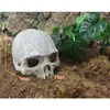 Decorations Resin Easter Island Head Bone Skull Statue for Lizards Terrarium Reptile Hide Cave Aquarium Fish Tank Landscape Decor Ornament 230505