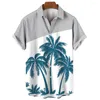 Camicie casual da uomo Camicette e camicette hawaiane T-shirt stampate in 3D per uomo Camicia oversize da uomo in stile resort