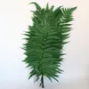 Fleurs décoratives 10 PCS Plante Naturelle Séchée Fraîche Conservée Éternelle Pour Toujours Feuille De Fougère Décoration De La Maison Accessoires De Fête De Mariage