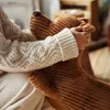 Подушка декоративные подушки любители коричневого милого британского короткого ножного налога с собакой диван год