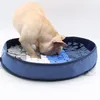Grooming Training Pad Pet Sniffing Mat Dog Cat Smell Training Pad Consume Energy Puzzle Pet Toys Puppy Dog