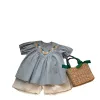 Zomer kinderen meisjeskleding set zoete geborduurde tops met korte mouwen met shorts 2pcs set kinderen meisje outfits sets