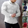 Men's Dress Shirts Spring Autumn Men's Muscle Social Shirt Business Male Long Sleeve Casual Formal Elegant Blouses Tops Man White