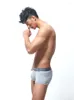 Unterhose ICOOL 3 Teile/los Modal Einfarbig Bequem Atmungsaktiv Mittlere Taille Männer Homosexuell Boxer Unterwäsche Große Tasche 3-dimensional