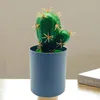 Ghirlande di fiori decorativi Cactus artificiale di alta qualità in PVC con vaso Simulazione resistente alle intemperie Bonsai Decorazione domestica realistica