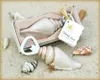 Sea Shell Openers Seashell Bottle Opener Sand Summer Beach Theme Shower Wedding Favors Gift in Gift Box dh97