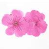 Dekorative Blumen kränzen rosa getrocknete Kirschblüten-Verzierungen für DIY-Handarbeits-Gruß-Karten-freier Versand 1 Lot/100pcsDecorative Decor