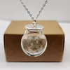 Pendant Necklaces Dandelion Make A Wish Real Flower Big Glass Ball Sterling Silver Color Chain Necklace Women Choker Boho Jewelry Handmade