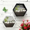 Planters Pots 1xAcrylic Flower Pot Hanging Wall Hydroponics Succulent Plant Vase Home Living Room Hanging Planter Basket Cachepot For Flowers 230508