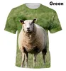 Erkek Tişörtleri 2023 Erkekler ve Kadınlar Yaz 3d T-Shirt Sıradan Kısa Kollu Koyun Hayvan Baskı Sevimli Evcil Hayvan Üstü