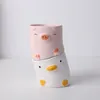 Plantadores potes fofinhos de desenho animado animal vaso de flores de varanda de varanda suculenta plantio de flores decoração de pato criativo de pato torrado e cerâmica de porco 230508