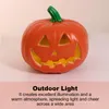 Strings 1pc Pumpkin Lantern Night Lighted Lights For Indoor Ornament