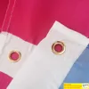 Drapeaux de fierté arc-en-ciel bannière personnalisée trous métalliques œillets rouge à lèvres aromatique non binaire lesbienne asexuée peut être personnalisé