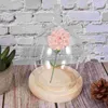 Storage Bottles Glass Display Cloche Bell Jar Dome Handmade Gifts Clear Dessert Containers Flower Cover Small Base Cloches Plants S Case