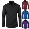 Men's Dress Shirts Solid Color Youth Men's Non-iron Business Long Designer Clothes Men Polyster Turn-down Collar