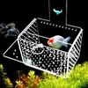 Tanks Aquarium Inkubator Transparent Acylic Fish Tank Isolation Box Small Fry Bell Aquatic Pet Supplies (Hole Dia. 1mm/3mm)