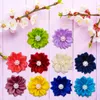 Fruits 100x Cute Pet Dog Cat Hair Bows Flowers for Dog Wedding Party Holiday Daily Accessories Pet Grooming Bows with Rubber Bands