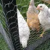 Clôture de jardin Grillage de fer de poulet Grillage métallique hexagonal galvanisé Filet de volaille roulé de ferme Fil d'acier à faible teneur en carbone