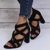 Sandals Women Pumps Sandals Summer Open Toe High Heels Low Block Heel Shoes Gladiator Zipper Thick With Sandals Wedges Mules Shoes 230508