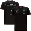 F1 T-shirt Formel Racing Team Sports kortärmad t-shirts Motorsport Summer Motorcykel Riding Jersey Men Quick-Torry T-shirt