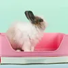 Fournitures Grand tiroir pour lapin Placer fermement les toilettes pour petits animaux de compagnie Cobayes Boîte pour animaux de compagnie Bassin de lit Boîte de toilette d'angle avec tiroir d'entraînement à grille